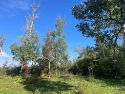 53 Rainbow Drive, Tokaryk Lake, MB R0J1V0 Photo 14