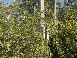 53 Rainbow Drive, Tokaryk Lake, MB R0J1V0 Photo 16