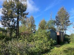 53 Rainbow Drive, Tokaryk Lake, MB R0J1V0 Photo 13