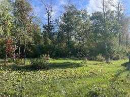 53 Rainbow Drive, Tokaryk Lake, MB R0J1V0 Photo 10