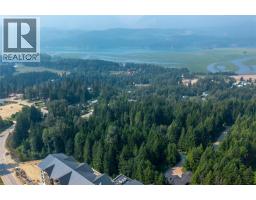 3014 Mcinnes Road, Revelstoke, BC V0E2S0 Photo 15