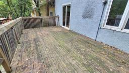285 Maplewood Avenue, Winnipeg, MB R3L1A6 Photo 32