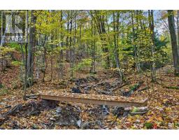 112 Arrowhead Crescent, Blue Mountains, ON L9Y0R9 Photo 47