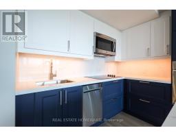 313 - 55 East Liberty Street, Toronto, ON M6K3P9 Photo 11