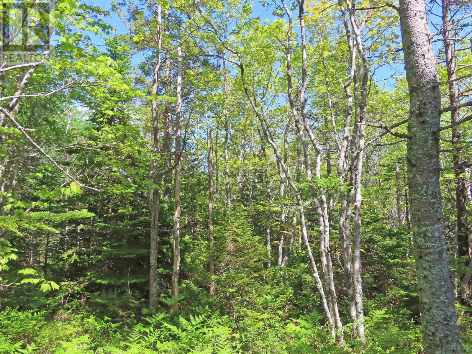 Property 11 of 49 of Lot 2 Perry Lane