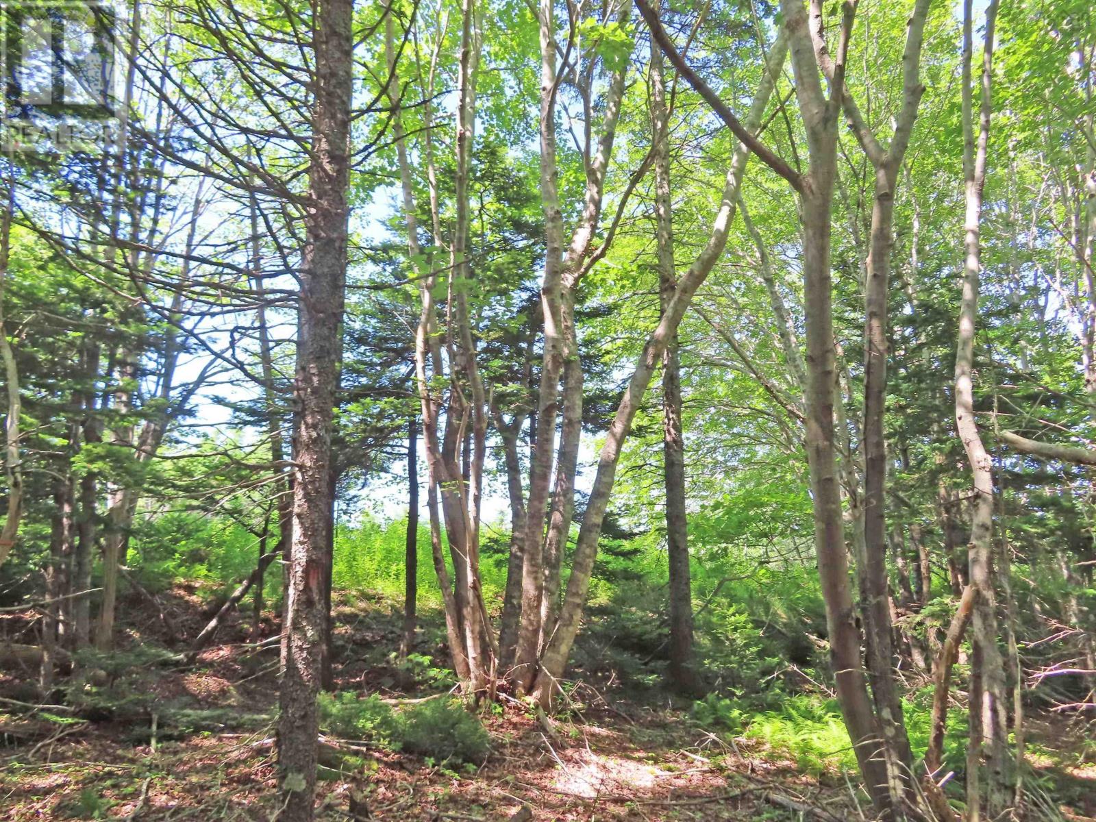 Property 14 of 49 of Lot 2 Perry Lane