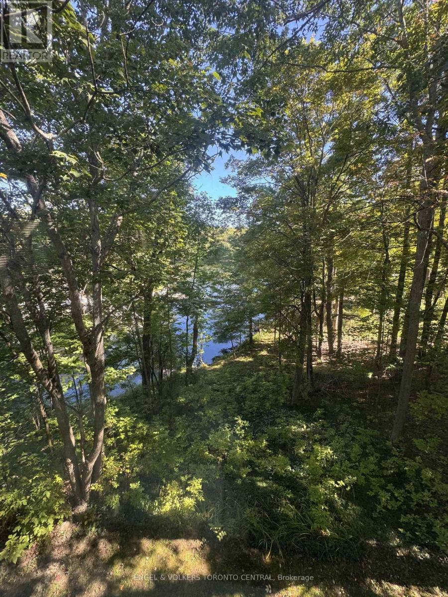 96 JOSEPH STREET, Muskoka Lakes (Medora) — photo 14