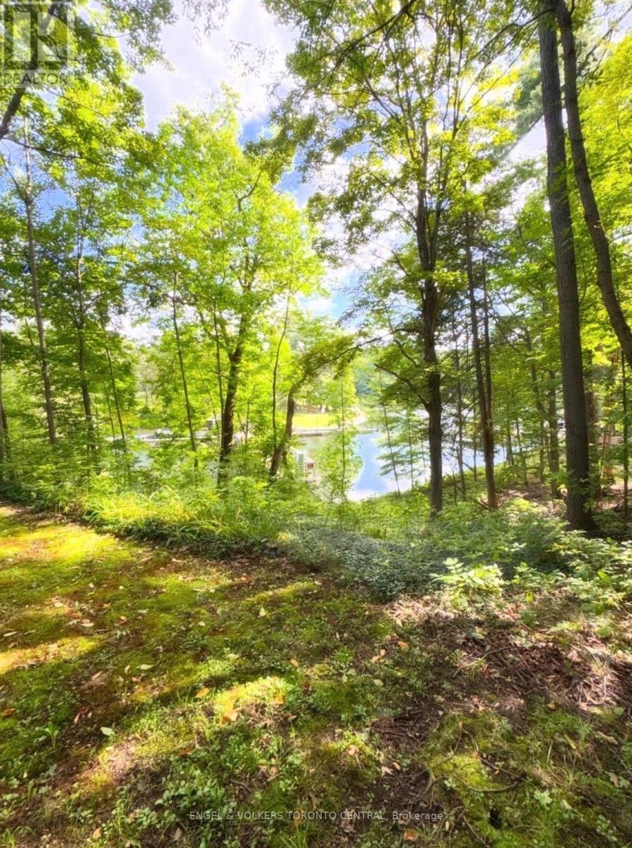 96 JOSEPH STREET, Muskoka Lakes (Medora) — photo 15