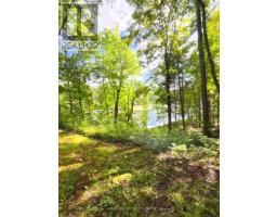 96 Joseph Street, Muskoka Lakes, ON P0B1J0 Photo 14