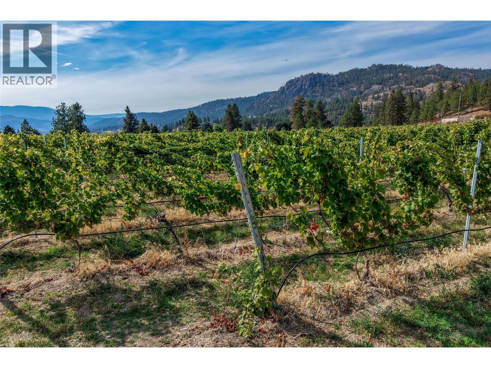  5355 Trepanier Bench Road, Peachland