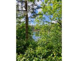 8816 48 Avenue, Calgary, AB T3B2B2 Photo 36