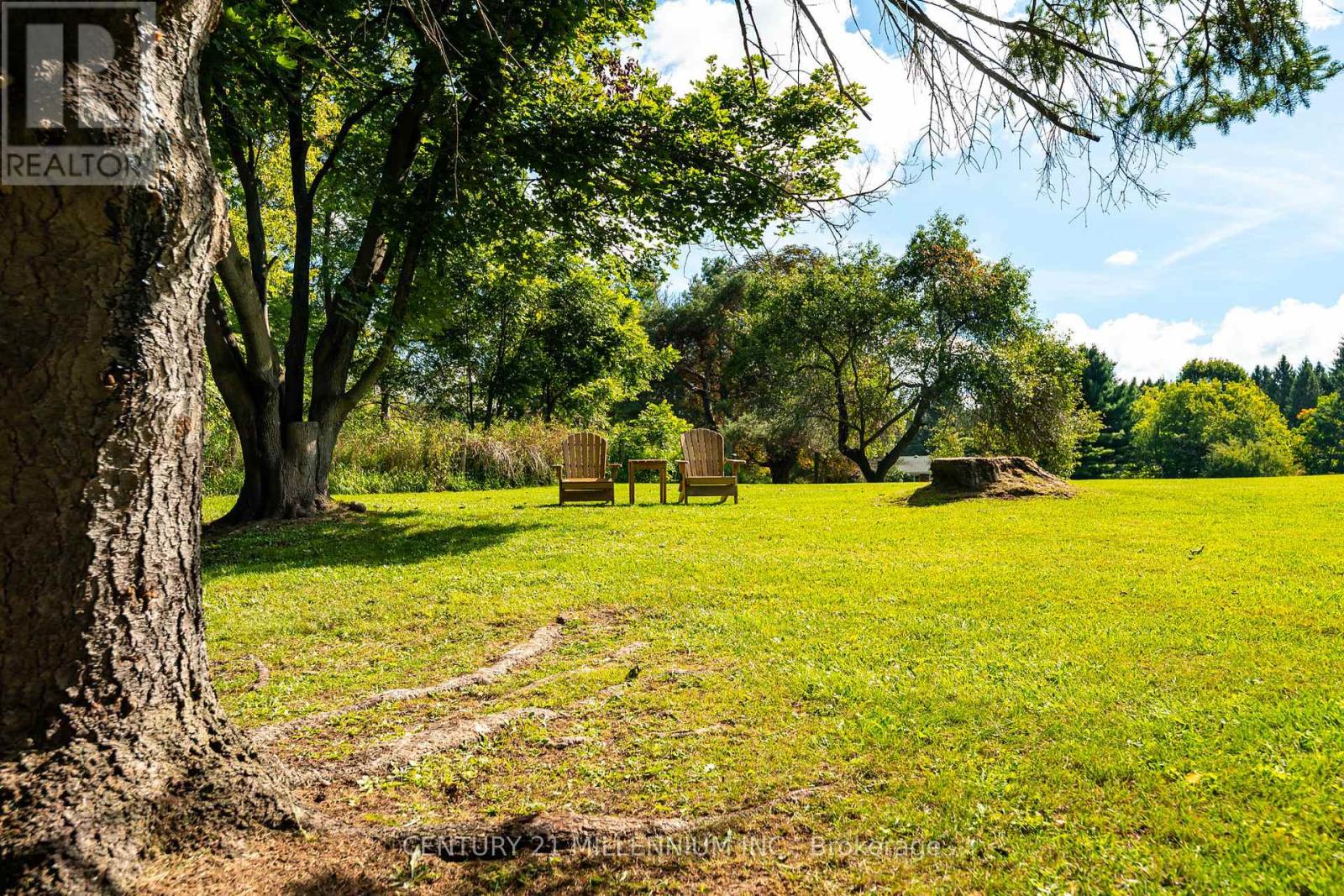 20429 WILLOUGHBY ROAD - Image 39