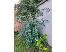 1016 48 St Nw, Edmonton, AB T6L4C4 Photo 43