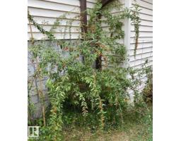 1016 48 St Nw, Edmonton, AB T6L4C4 Photo 46