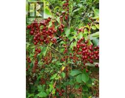 25.45 Acre Acreage Rm 70, Key West Rm No  70, SK S0H2C0 Photo 20