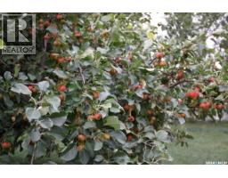 25.45 Acre Acreage Rm 70, Key West Rm No  70, SK S0H2C0 Photo 21