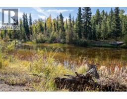 53270 Jardine Road, Cluculz Lake, BC V0J3A3 Photo 20