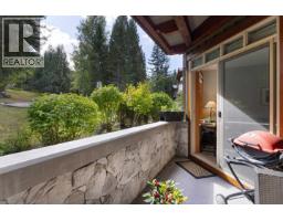 222 4660 Blackcomb Way, Whistler, BC V0N1B4 Photo 19