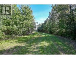 Pt Lt 1-2 Norfolk County Rd 19 E, Wilsonville, ON N0E1Z0 Photo 38