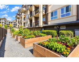 415 8531 Young Road, Chilliwack Proper South, Chilliwack, BC V2P0E1 Photo 25
