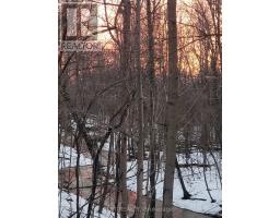 16 Oak Gardens Court, Brampton, ON L6R2Y6 Photo 46