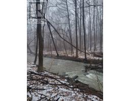16 Oak Gardens Court, Brampton, ON L6R2Y6 Photo 49