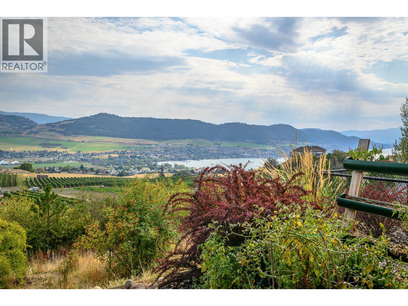 206 Vineyard Way - 29