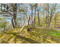 71367 Branch Road N, Bluewater, ON N0M1N0 Photo 24