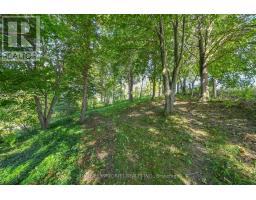 7543 Keenansville Road, Adjala Tosorontio, ON L0G1W0 Photo 23