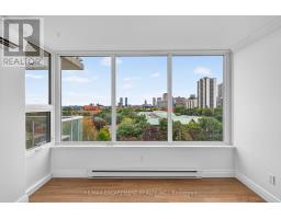 808 - 75 Queen Street N, Hamilton, ON L8R3J3 Photo 12