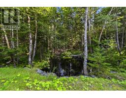 61 Colins Road, Hammonds Plains, NS B4B1S8 Photo 49