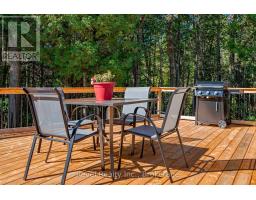 12 Alpine Crescent, Trent Lakes, ON K0M1A0 Photo 40