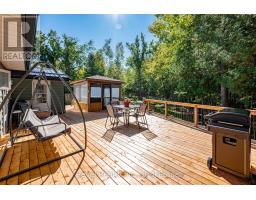 12 Alpine Crescent, Trent Lakes, ON K0M1A0 Photo 41
