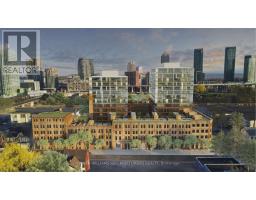 206 - 9 Tecumseth Street, Toronto, ON M5V0S5 Photo 17