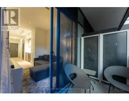 206 - 9 Tecumseth Street, Toronto, ON M5V0S5 Photo 9