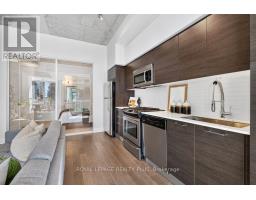 509 - 399 Adelaide Street W, Toronto, ON M5V1S1 Photo 19