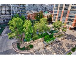 509 - 399 Adelaide Street W, Toronto, ON M5V1S1 Photo 38