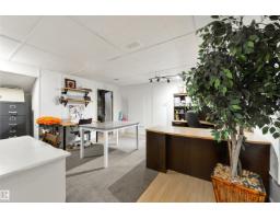 177 Tudor Ln Nw, Edmonton, AB T6J3T5 Photo 34