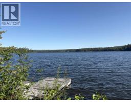 41100 S Bednesti Lake Road, Prince George, BC V2N6P4 Photo 13