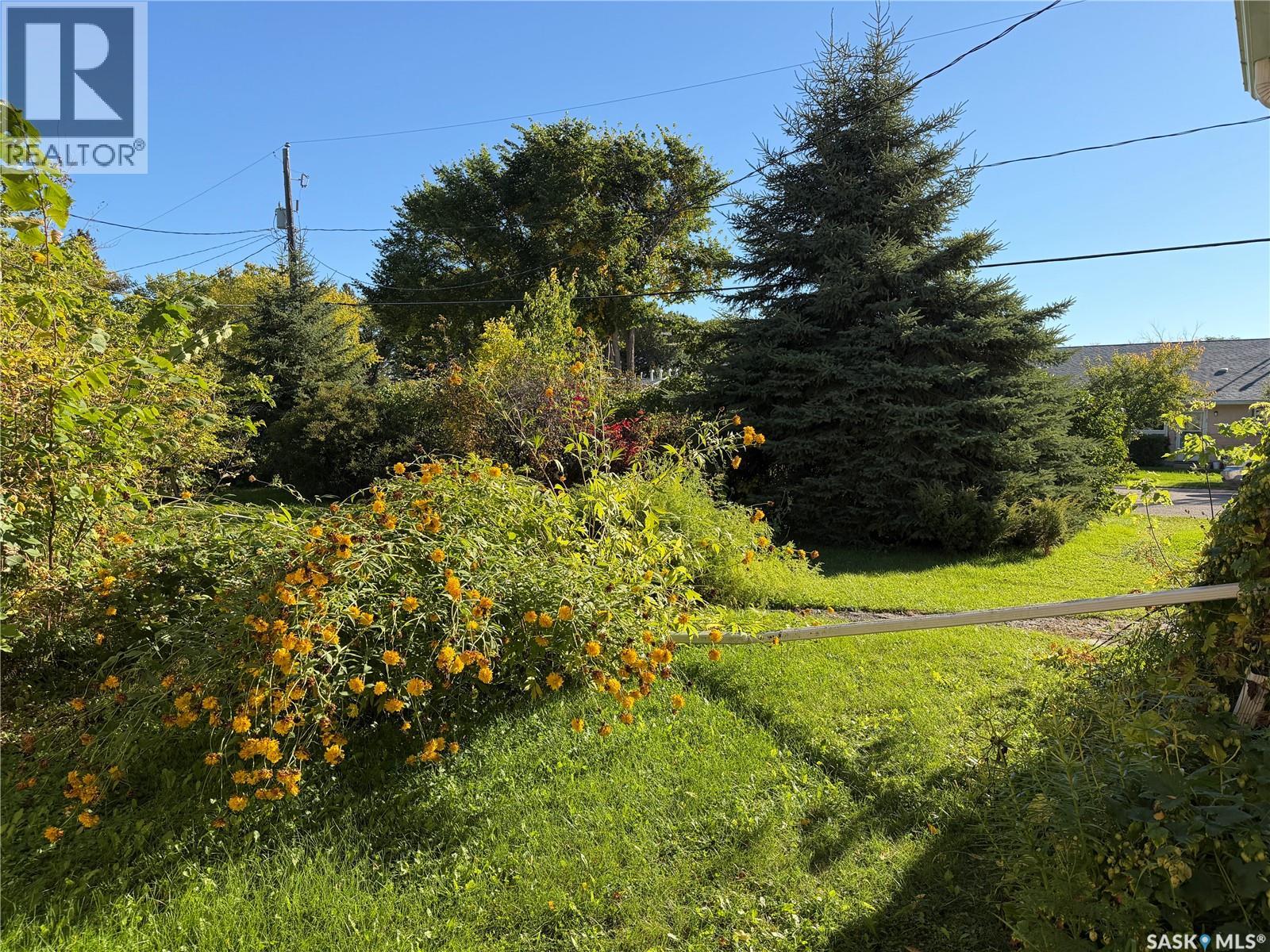 203 6th AVENUE W, Canora — photo 32