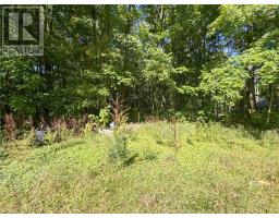 16 Bastien Road, Mindemoya, Manitoulin Island, ON P0P1S0 Photo 33