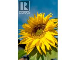 5215 4a Street Sw, Calgary, AB T2V0A4 Photo 48