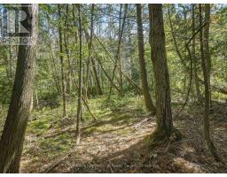 0 Bayview Acres, Lake Of Bays, ON P0B1A0 Photo 12