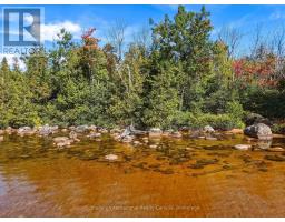0 Bayview Acres, Lake Of Bays, ON P0B1A0 Photo 13