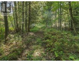 0 Bayview Acres, Lake Of Bays, ON P0B1A0 Photo 17