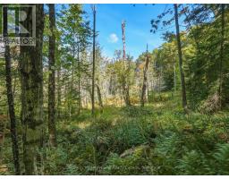 0 Bayview Acres, Lake Of Bays, ON P0B1A0 Photo 8