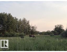 51064 Rge Rd 222, Rural Strathcona County, AB T8C1G9 Photo 49