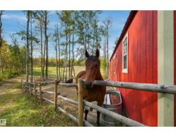 51064 Rge Rd 222, Rural Strathcona County, AB T8C1G9 Photo 43