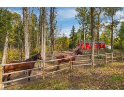51064 Rge Rd 222, Rural Strathcona County, AB T8C1G9 Photo 48