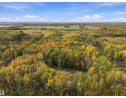 51064 Rge Rd 222, Rural Strathcona County, AB T8C1G9 Photo 53